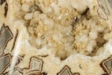 Polished, Crystal Filled Septarian Nodule - Utah #207812-3
